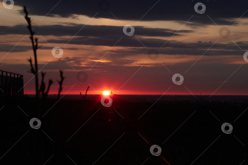 Скачать Рассвет фотосток Ozero