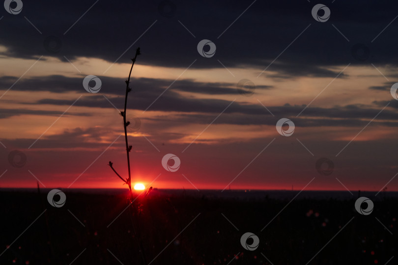 Скачать Рассвет фотосток Ozero