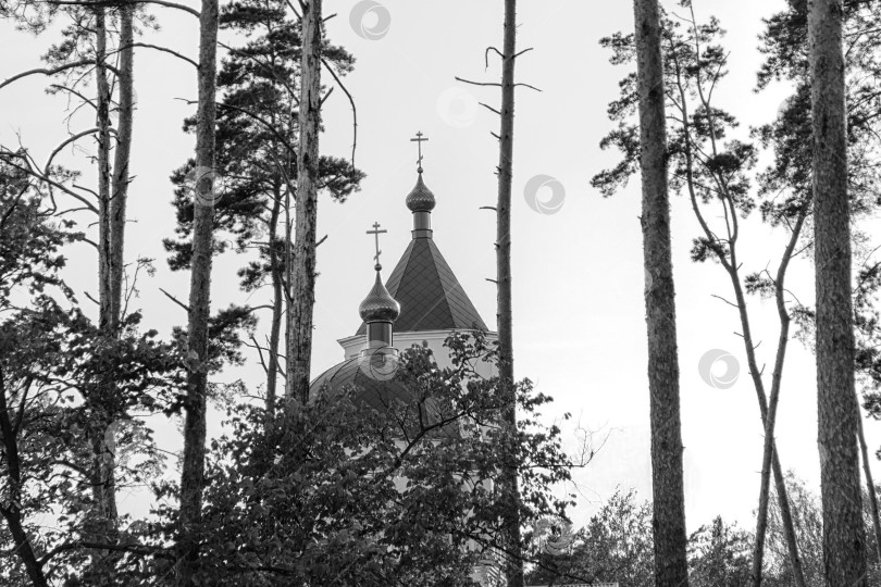 Скачать зеленые купола церкви сияли в лучах заходящего солнца фотосток Ozero