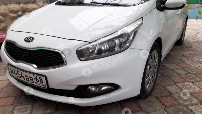 Скачать KIA CEED НА ПРИРОДЕ белый открытый фотосток Ozero