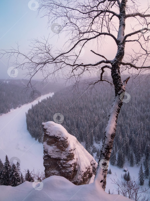 Скачать зимние заснеженные горные березы, нежно-розовый закат фотосток Ozero