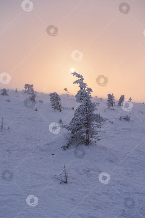 Скачать Держатель солнца фотосток Ozero