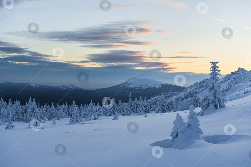 Скачать Круглица фотосток Ozero