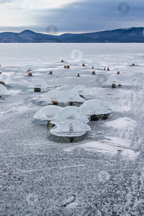 Скачать ледяная грибница фотосток Ozero