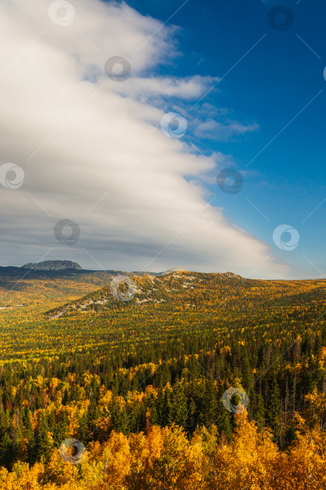 Скачать Осенний пейзаж фотосток Ozero