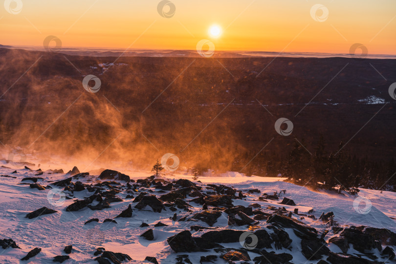 Скачать Золотая вьюга фотосток Ozero