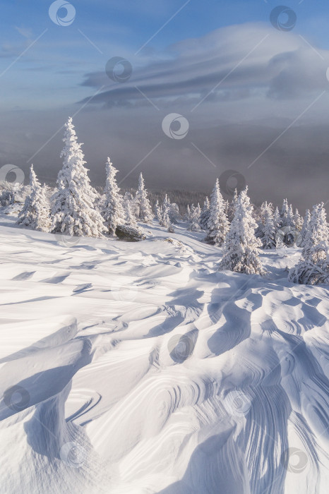 Скачать Узоры на снегу фотосток Ozero