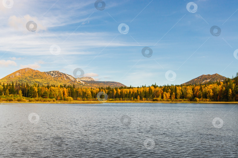 Скачать Осенний водоем фотосток Ozero