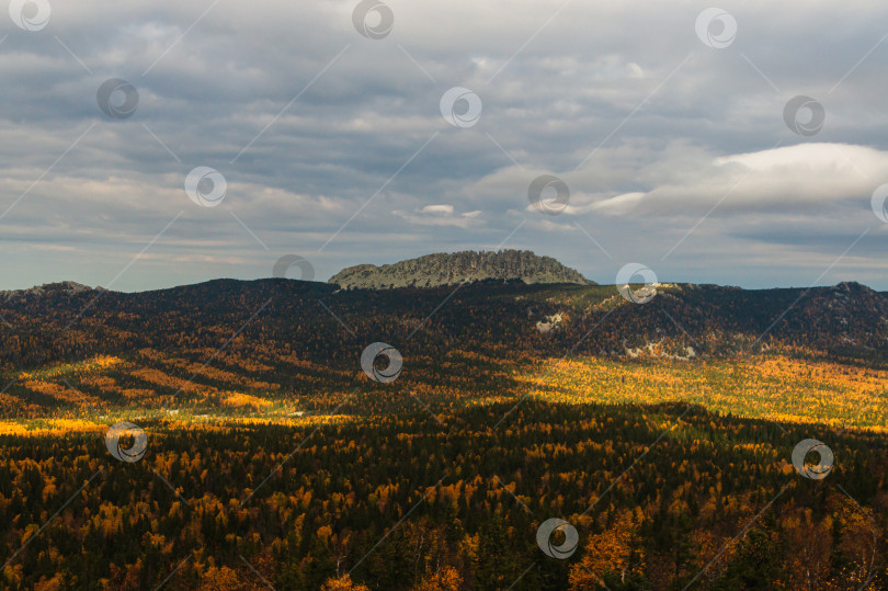 Скачать Спящий ящер фотосток Ozero