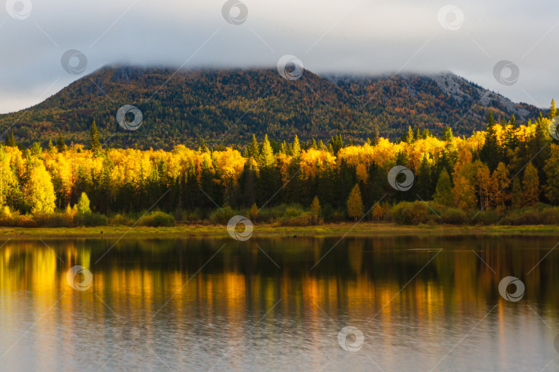 Скачать Осеннее утро фотосток Ozero