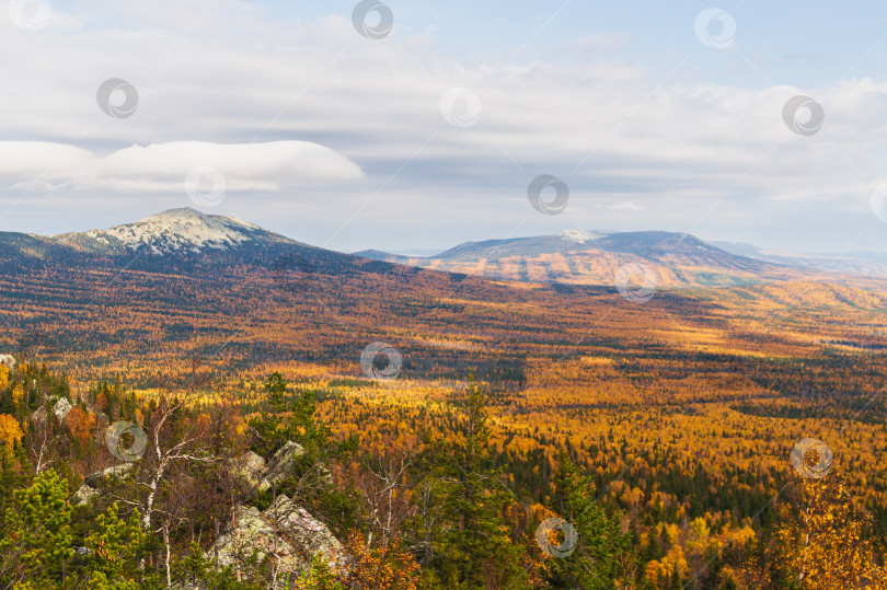 Скачать Золотой Таганай фотосток Ozero