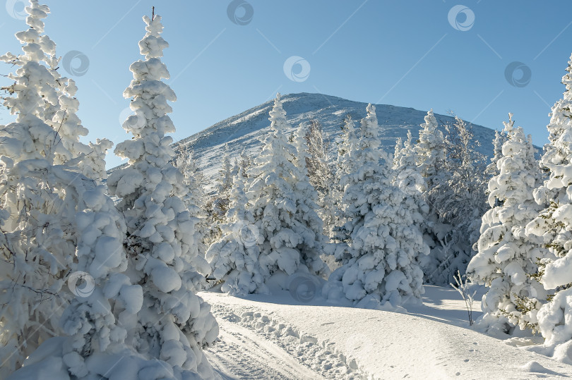 Скачать Иремель фотосток Ozero