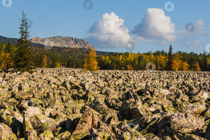 Скачать Каменная река фотосток Ozero