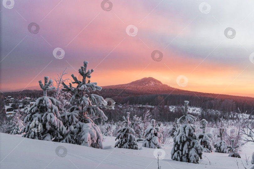 Скачать Морозный рассвет фотосток Ozero