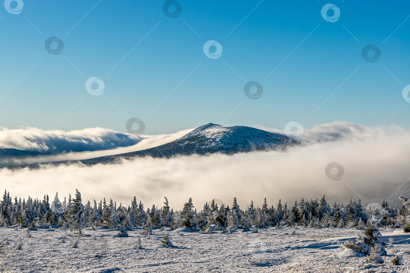 Скачать В облаке фотосток Ozero