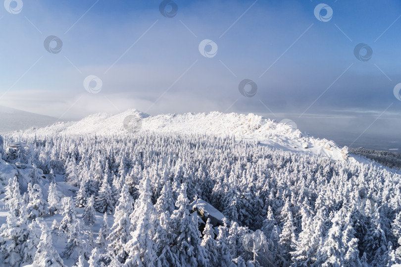 Скачать Серебряный гребень фотосток Ozero