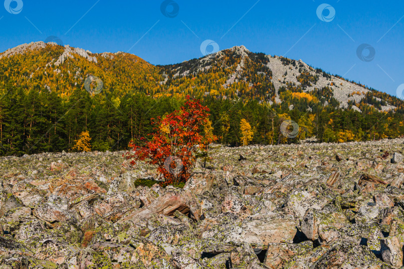 Скачать Двуглавая сопка фотосток Ozero