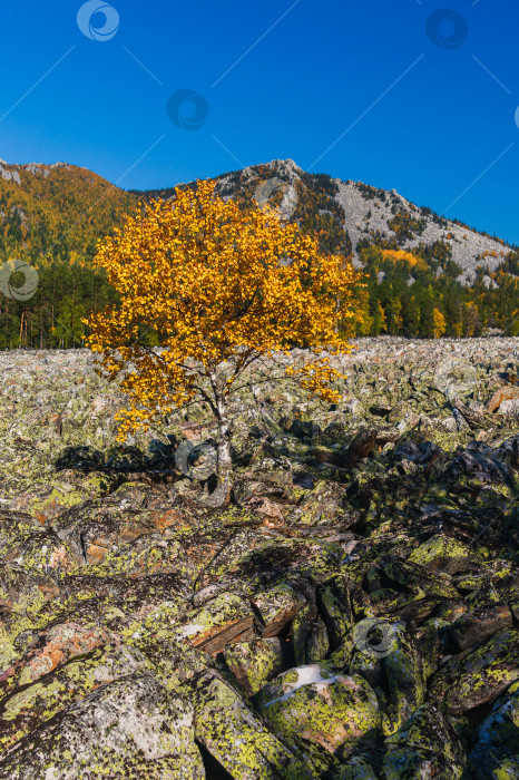 Скачать Посреди камней фотосток Ozero