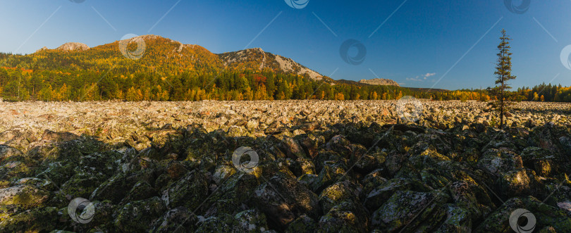 Скачать Панорама каменной реки фотосток Ozero