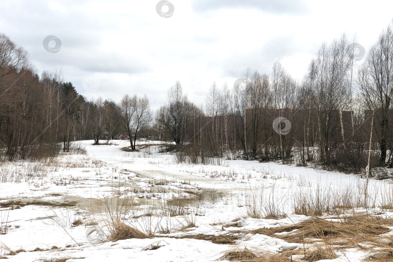 Скачать Ранний весенний природный пейзаж с лугом, покрытым тающим снегом фотосток Ozero