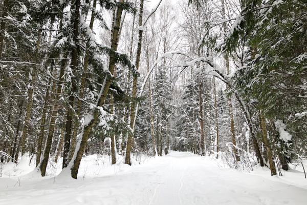 [object Object] undefined