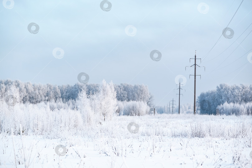 Скачать Линия электропередачи в заснеженном поле и покрытых инеем лесных деревьях - зимний пейзаж фотосток Ozero