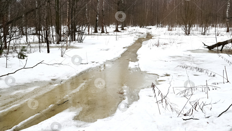 Скачать Растаявший снег и лужи с талой водой на дороге в лесу в ранневесеннем пейзаже фотосток Ozero