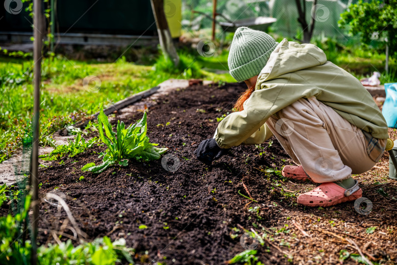 Скачать Девушка помогает сажать семена моркови в землю с помощью ленты для рассады семян фотосток Ozero