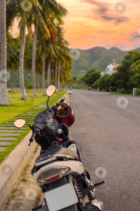Скачать Мотоцикл на дороге среди пальм во Вьетнаме на фоне заката фотосток Ozero