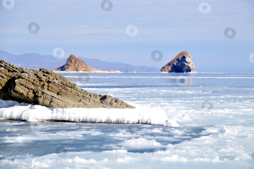 Скачать Вид из стеклянной бухты на мыс трех братьев. Замерзшее Японское море с плавучими льдами, Владивосток, Россия. фотосток Ozero