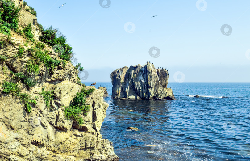 Скачать Пейзаж Японского моря со скалами в солнечный летний день фотосток Ozero