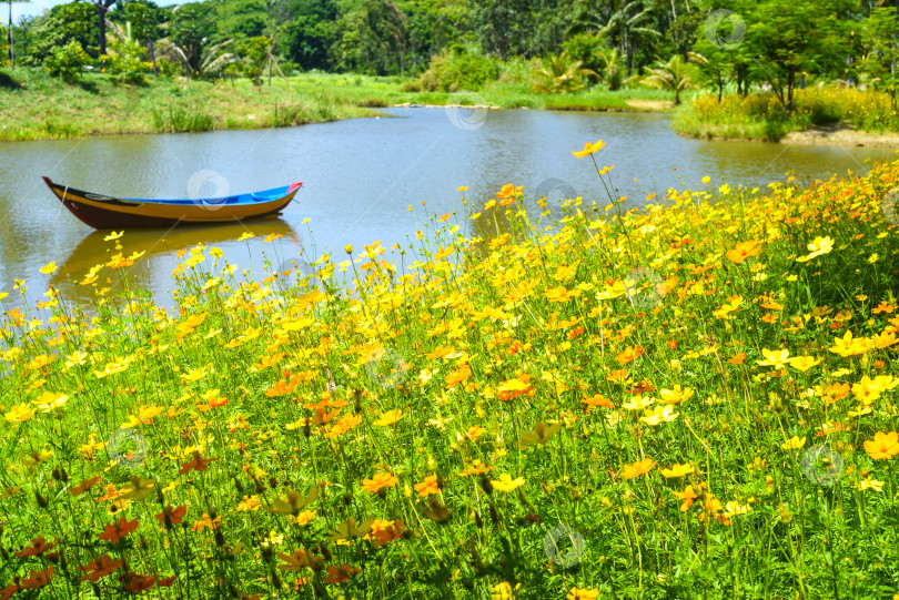 Скачать Желтые цветы на фоне деревянной лодки, плавающей по озеру во Вьетнаме фотосток Ozero