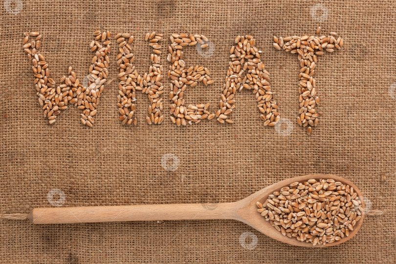 Скачать Надпись "пшеница" деревянной ложкой на мешковине фотосток Ozero