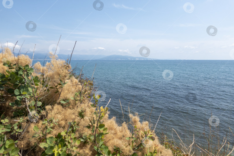 Скачать Побережье Черного моря. лысая гора. Красивое синее море в Новороссийске фотосток Ozero