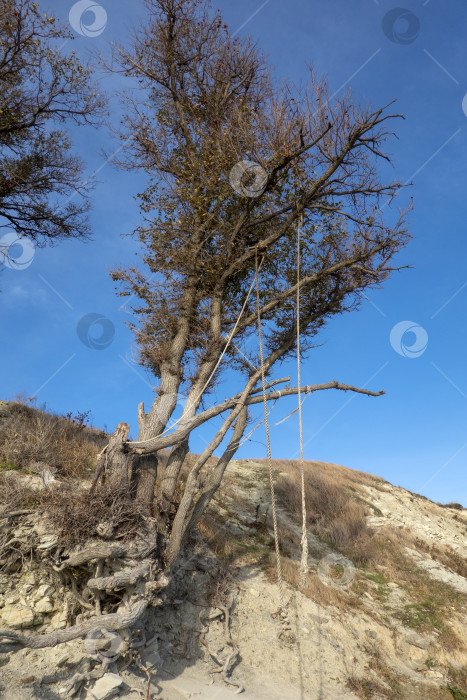 Скачать Экстремальные качели на краю высокой горы с видом на горы фотосток Ozero