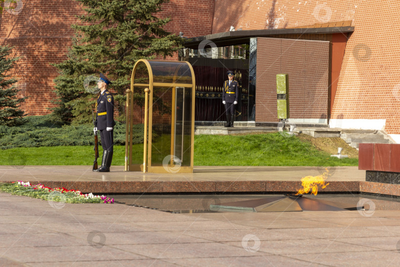 Скачать МОСКВА, РОССИЯ - 20 апреля: Военные стоят в караульной будке в карауле в честь могилы Неизвестного солдата и Вечного огня 20 апреля 2019 года в Москве. фотосток Ozero