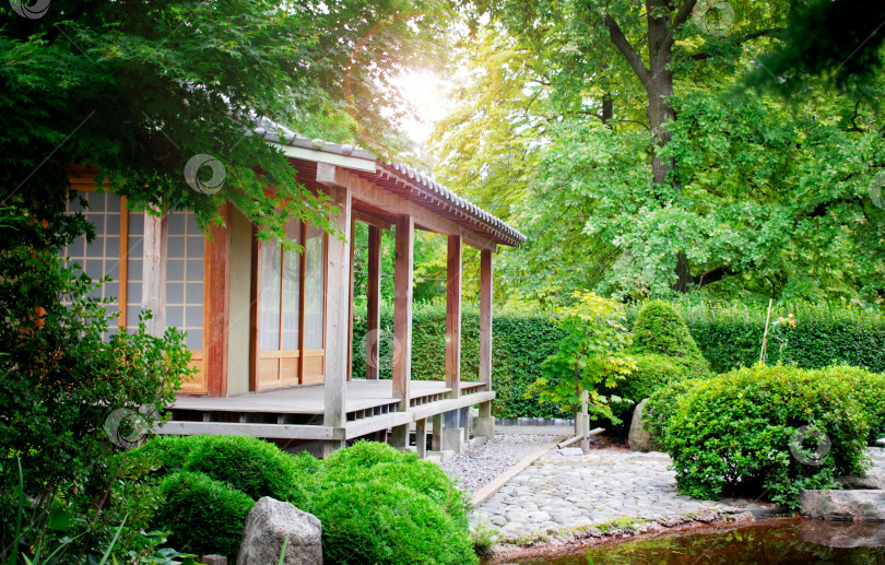 Скачать Чайный домик в японском саду, сквозь деревья пробивается солнечный свет. фотосток Ozero