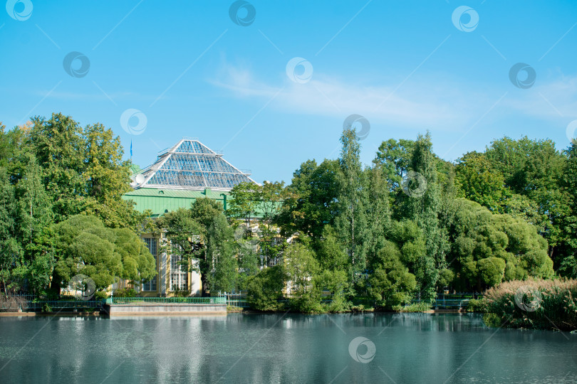 Скачать Пейзаж Таврического сада с прудом и голубым небом в Санкт-Петербурге, Россия. фотосток Ozero