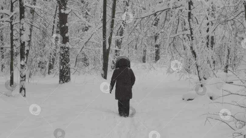 Скачать Женщина в пальто идет по зимнему лесу фотосток Ozero