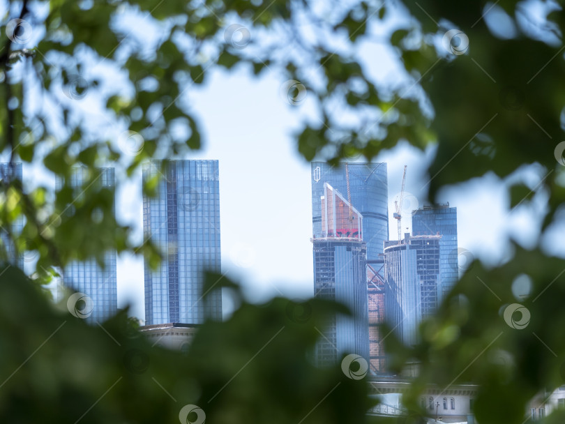 Скачать Московские современные здания из стекла и стали, небоскребы на фоне деревьев и листвы фотосток Ozero