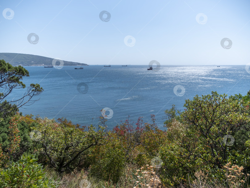 Скачать Большой сухогруз в Черном море во время штиля в Новороссийске фотосток Ozero