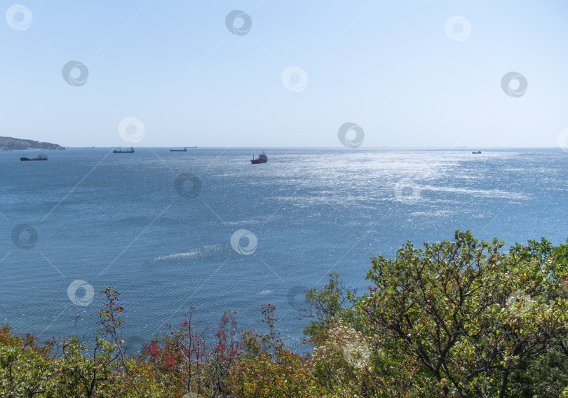 Скачать Большой сухогруз в Черном море во время штиля в Новороссийске фотосток Ozero