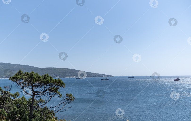 Скачать Большой сухогруз в Черном море во время штиля в Новороссийске фотосток Ozero