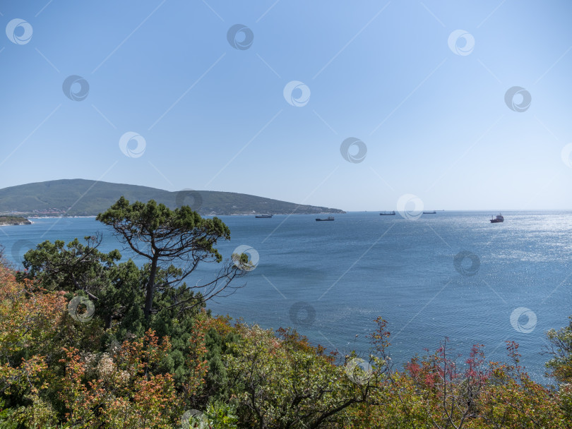 Скачать Большой сухогруз в Черном море во время штиля в Новороссийске фотосток Ozero