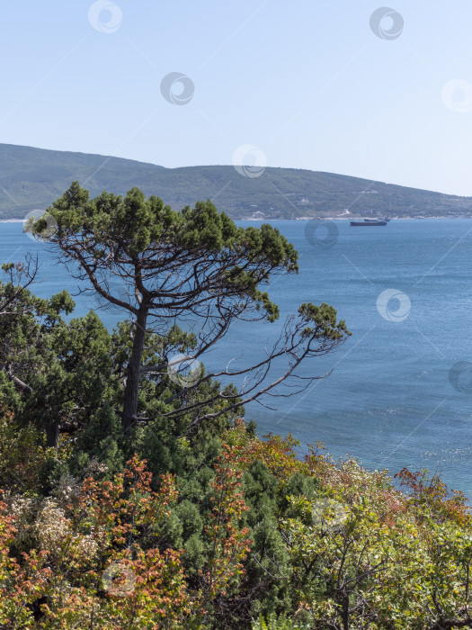 Скачать Побережье Черного моря. лысая гора. Красивое синее море в Новороссийске фотосток Ozero