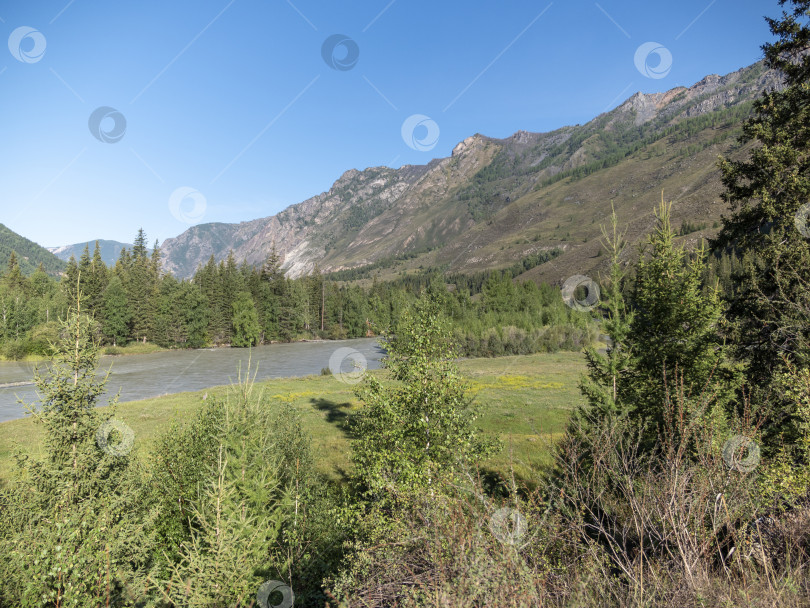 Скачать Волны, брызги и пена, река Катунь в Горном Алтае. Сибирь, Россия фотосток Ozero