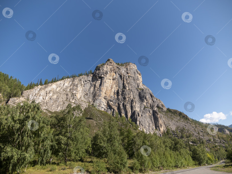 Скачать Горный пейзаж со скалой и зеленым лесом фотосток Ozero