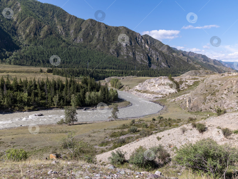 Скачать Волны, брызги и пена, река Катунь в Горном Алтае. Сибирь, Россия фотосток Ozero