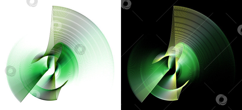 Скачать Необычно изогнутые зеленые абстрактные лорасти вращаются на белом и черном фонах. Набор. Иконка, логотип, символ, вывеска. 3D-рендеринг. 3D-иллюстрация. фотосток Ozero