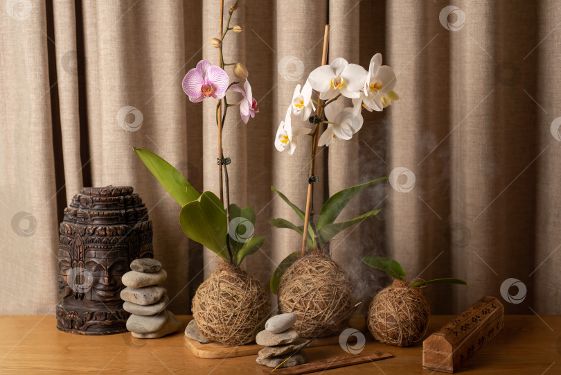Скачать Две орхидеи на фоне камней и свеча на фоне кирпичной стены фотосток Ozero